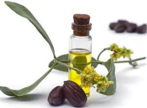 aceite-jojoba-nativus
