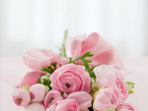 hidrolato-agua-rosas-nativus